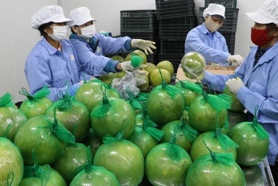 Anh được xem là thị trường còn nhiều dư địa cho các doanh nghiệp Việt Nam mở rộng thị phần.