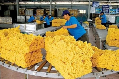 Trong tháng 9/2024, cao-su Việt Nam xuất khẩu đạt khoảng 250 nghìn tấn, trị giá 424 triệu USD.