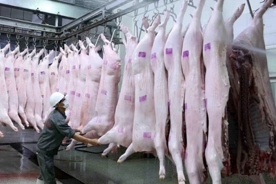 Tăng cường công tác quản lý kiểm dịch vận chuyển, kiểm soát giết mổ động vật 