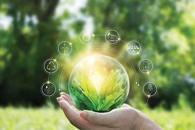 Chủ động triển khai các giải pháp thúc đẩy kinh tế tuần hoàn, sản xuất, tiêu dùng bền vững, thương mại bền vững đáp ứng các chính sách xanh của Liên minh châu Âu.