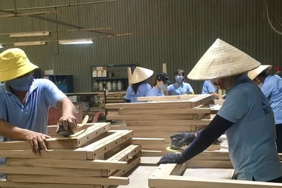 Mỹ là nước nhập khẩu gỗ và sản phẩm từ gỗ, Mỹ là thị trường nhập khẩu nhiều nhất trong 16,2 tỷ USD kim ngạch xuất khẩu của Việt Nam.