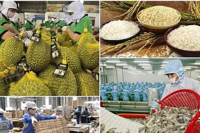 Kim ngạch xuất khẩu nông, lâm, thủy sản tháng 3/2025 của Việt Nam ước đạt 6,14 tỷ USD.