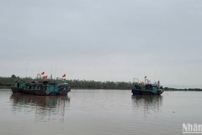 Thủ tướng Phạm Minh Chính vừa ký công điện yêu cầu tập trung phát hiện, điều tra và xác minh thông tin để xử lý vi phạm quy định về Hệ thống giám sát hành trình tàu cá (VMS). (Ảnh: PHÚC HUY)