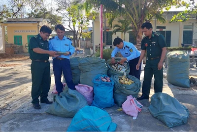 Lực lượng chức năng tỉnh Ninh Thuận phối hợp xử lý thuốc lá nhập lậu.