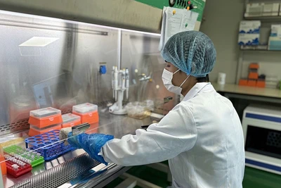 Kỹ thuật viên Trung tâm Giám định ADN thực hiện tách chiết ADN mẫu hài cốt liệt sĩ.