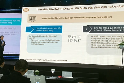 Phó Thống đốc Ngân hàng Nhà nước Việt Nam Phạm Tiến Dũng báo cáo về tình trạng lừa đảo trên không gian mạng.