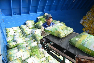 Xuất khẩu gạo của Việt Nam có nhiều khởi sắc trong thời gian qua (Ảnh: Tập đoàn Lộc Trời)