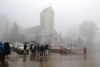 Thị xã Sa Pa rét hại 11,9 độ C.