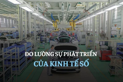 Đo lường sự phát triển của kinh tế số