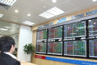 (Ảnh minh họa: TTXVN)