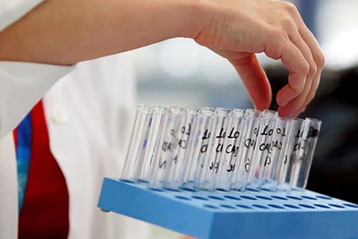 Ảnh minh họa. (Nguồn: Getty Images/TTXVN)