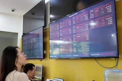 Ảnh minh họa. (Nguồn: TTXVN)