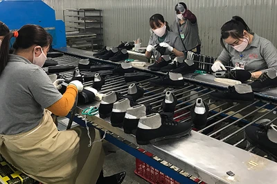 Đơn hàng xuất khẩu đã bắt đầu quay lại với doanh nghiệp.