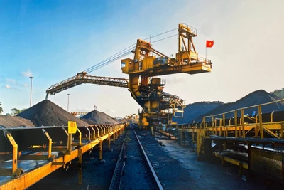 Công ty Tuyển than Cửa Ông.