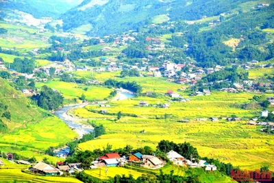 Thời điểm này, Sa Pa được du khách yêu mến gọi bằng cái tên “Mùa vàng” bởi màu nắng thu dịu ngọt, màu lúa chín phủ khắp những thửa ruộng bậc thang ở thung lũng Mường Hoa đẹp như bức tranh. 