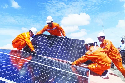 Lắp điện mặt trời tại Thành phố Hồ Chí Minh. Ảnh: LÊ PAN