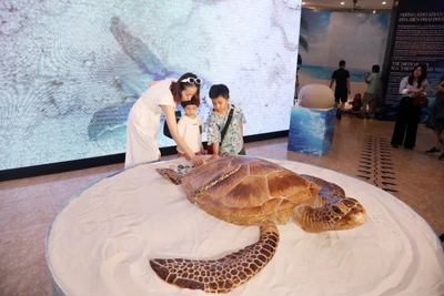 Tác phẩm rùa đẻ trứng có kích thước lớn tại triển lãm.