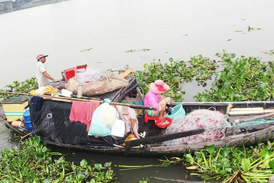 Nhiều hộ dân chài đã được chính quyền quan tâm, hỗ trợ.