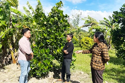 Đại diện các hộ dân trao đổi ý kiến với phóng viên trên thửa đất khai hoang và sử dụng hợp pháp từ năm 1979 đến nay, nhưng chưa được cấp CNQSDĐ.