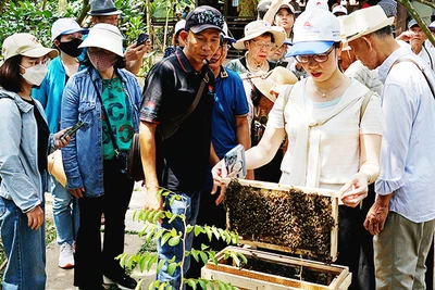 Du lịch sinh thái đang thu hút nhiều khách hàng. Ảnh: SONG ANH