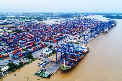 Cảng Cát Lái chiếm hơn 55% thị phần khai thác container xuất nhập khẩu của cả nước.