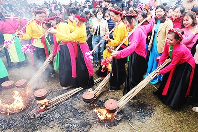 Ngày thơ Việt Nam 2024 do Hội Nhà văn Việt Nam tổ chức tại Hoàng thành Thăng Long. Ảnh tư liệu