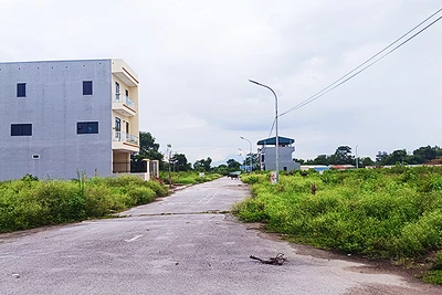 Đến nay việc định giá đất theo nguyên tắc thị trường còn khó khăn.