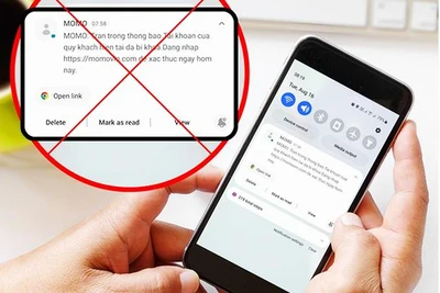 Cảnh giác trước các trang web giả mạo