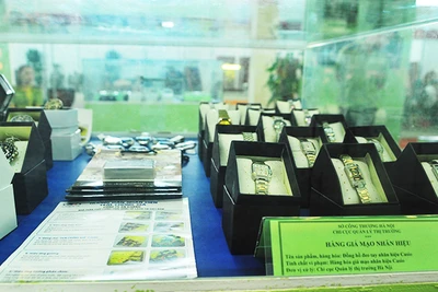 Hàng giả được trưng bày giúp người tiêu dùng dễ phân biệt. Ảnh: SONG ANH