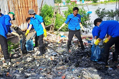Những “chú ve” cần mẫn dọn rác trên địa bàn tỉnh Cà Mau.