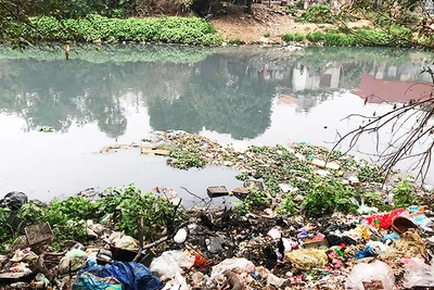 Sông Nhuệ nhiều năm qua cũng bị ô nhiễm nghiêm trọng. Trong ảnh là một đoạn sông Nhuệ giữa xã Tả Thanh Oai và xã Hữu Hòa (Thanh Trì, Hà Nội). Ảnh: QUANG HƯNG