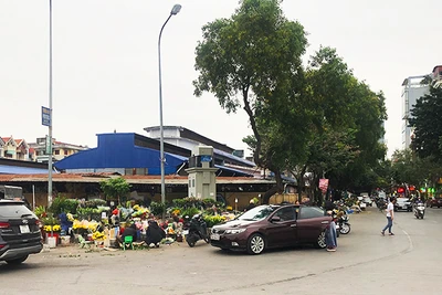 Một góc chợ tạm trên phố Doãn Kế Thiện.