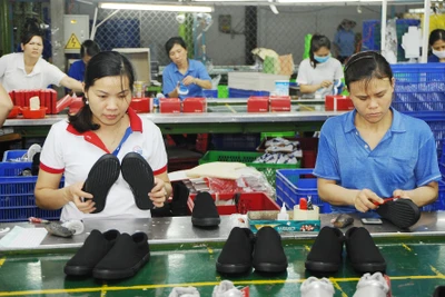 Sáu tháng đầu năm, kim ngạch xuất khẩu da giày của Việt Nam đạt hơn 6,5 tỷ USD, tăng 5,7% so với cùng kỳ năm 2023. Ảnh: HẢI NGUYỄN