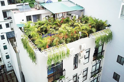 Tòa nhà thí điểm trồng cây xanh và nghiên cứu điều kiện vi khí hậu.