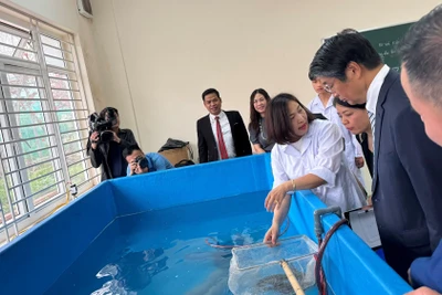 Lồng lưới thực hành nuôi trồng thủy sản được bàn giao cho Trường cao đẳng Thủy sản và Công nghệ thực phẩm Hải Phòng. (Ảnh: ĐSQ Nhật Bản)