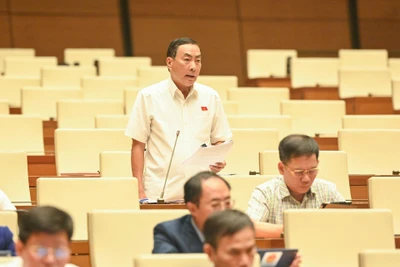 Các đại biểu Quốc hội dự phiên thảo luận về dự án Luật Hợp tác xã (sửa đổi) sáng 5/4. (Ảnh: DUY LINH)