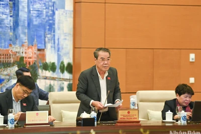 Trưởng Ban Dân nguyện Dương Thanh Bình báo cáo tại phiên họp. (Ảnh: DUY LINH)