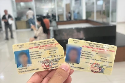 Trường hợp giấy phép lái xe bị trừ hết điểm thì người có giấy phép lái xe không được điều khiển phương tiện tham gia giao thông đường bộ theo loại giấy phép lái xe đó. (Ảnh minh họa) 