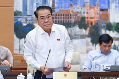 Trưởng Ban Dân nguyện Dương Thanh Bình báo cáo tại phiên họp. (Ảnh: DUY LINH)