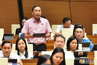 Đại biểu Quốc hội Phạm Văn Hòa phát biểu ý kiến tại hội trường sáng 2/6. (Ảnh: THỦY NGUYÊN)