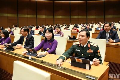 Quốc hội biểu quyết thông qua dự án Luật Dữ liệu. (Ảnh: DUY LINH)