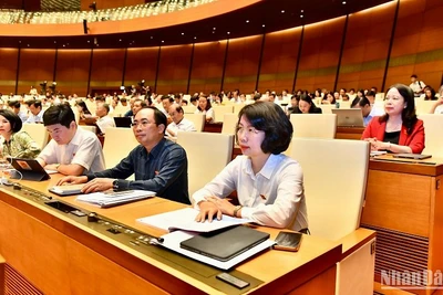 Các đại biểu Quốc hội dự phiên họp sáng 29/5. (Ảnh: ĐĂNG KHOA)