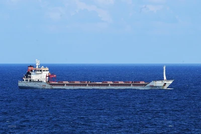 Tàu chở ngũ cốc của Ukraine tới ngoài khơi bờ biển thành phố Istanbul, Thổ Nhĩ Kỳ. (Ảnh: THX/TTXVN)