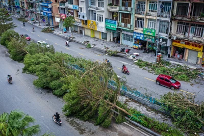 Bão số 3 gây ra nhiều thiệt hại cho người dân. Ảnh: THÀNH ĐẠT