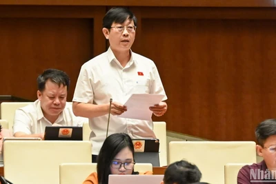 Cho vay đặc biệt: Cần quy định cụ thể tiêu chí và có cơ chế giám sát 