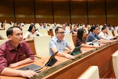 Các đại biểu Quốc hội bấm nút biểu quyết thông qua Nghị quyết về Chương trình xây dựng luật, pháp lệnh năm 2025, điều chỉnh Chương trình xây dựng luật, pháp lệnh năm 2024. (Ảnh: DUY LINH)