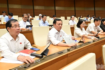 Đại biểu Quốc hội biểu quyết thông qua Nghị quyết về việc rút ngắn nhiệm kỳ Quốc hội khóa XV và Hội đồng nhân dân các cấp nhiệm kỳ 2021-2026; Ngày bầu cử đại biểu Quốc hội khóa XVI và đại biểu Hội đồng nhân dân các cấp nhiệm kỳ 2026-2031. (Ảnh: THỦY NGUYÊN)