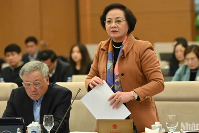 Bộ trưởng Nội vụ Phạm Thị Thanh Trà trình bày tờ trình của Chính phủ tại phiên họp. (Ảnh: DUY LINH)