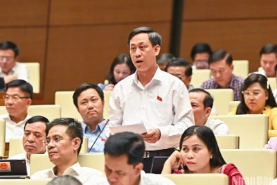 Đại biểu Mai Văn Hải góp ý kiến về tháo gỡ vướng mắc trong quy định phòng cháy, chữa cháy tại phiên thảo luận chiều 31/5. (Ảnh: DUY LINH)