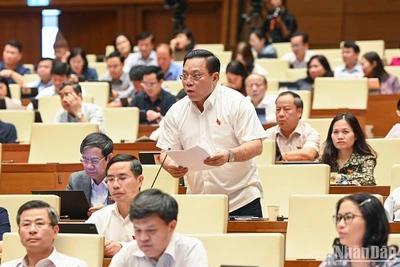 Hạn chế cổ đông lớn lạm quyền để thao túng hoạt động của tổ chức tín dụng